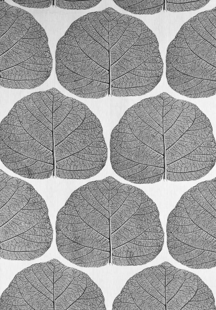 Leaf by Terence Conran