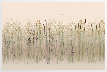 'Grasses' Art Prints