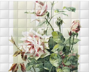 'Rosa 'La France'' Ceramic Tile Mural