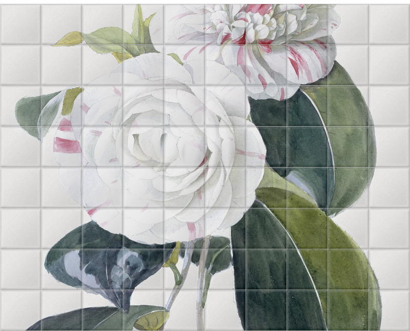 'Camellia' Ceramic Tile Mural
