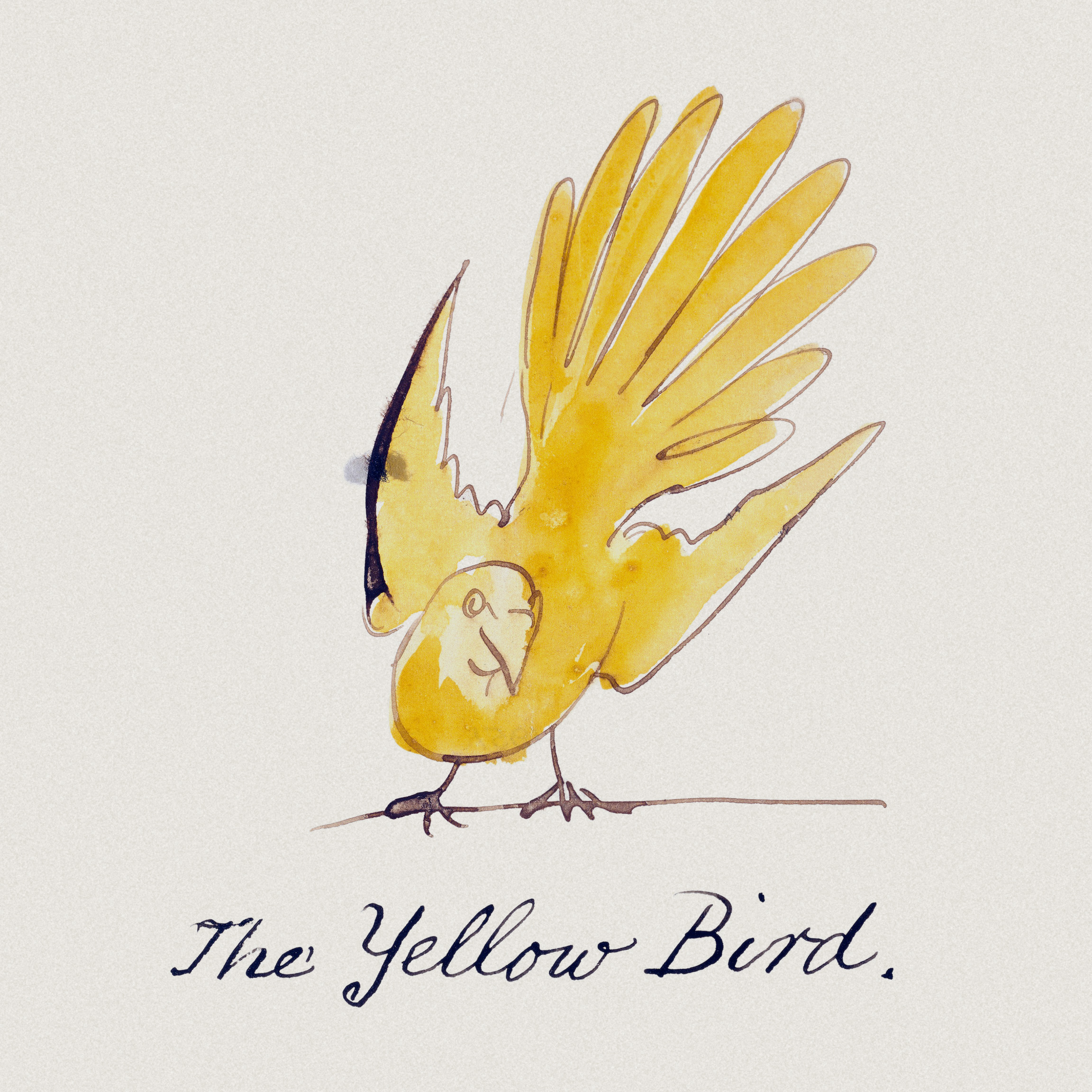 yellow bird flying drawing