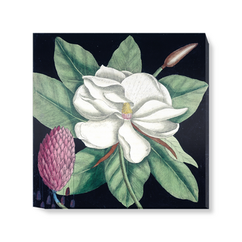 'Magnolia II' Canvas Wall Art