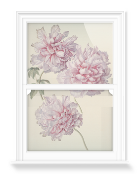 'Drawing of Peonies' Decorative Window Films | SurfaceView
