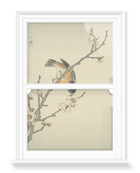 'Sakura' Decorative Window Films