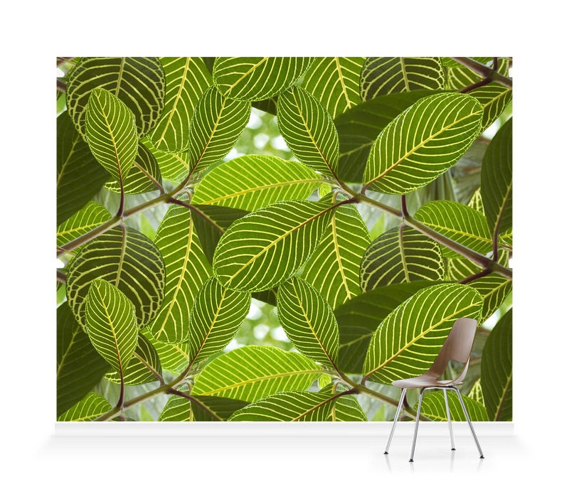 ‘Safari Leaf’ Wallpaper Mural | SurfaceView