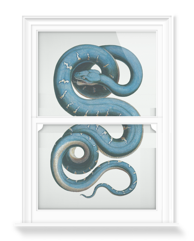 'Snake' Decorative Window Films
